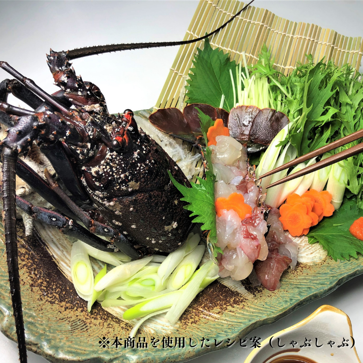 特大】国産 活締め伊勢海老 1尾（600gUP） | (株) 東セン貿 年末